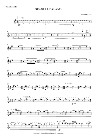 Seagull Dreams Seagull Dreams