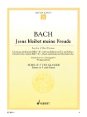 Cover for Jesu, Joy of Man's Desiring BWV147 : Schott by Hal Leonard