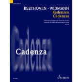 Cover for Cadenzas Op. 61, Vol. 19 &ndash; Concerto for Violin by Beethoven : String Solo by Hal Leonard